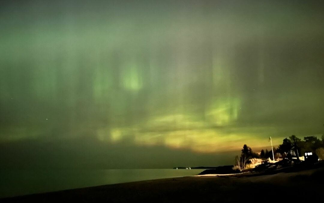 Morel Mushrooms & The Northern Lights in Arcadia MI