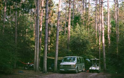 Seaton Creek Campground Host for the 2024 Summer Season