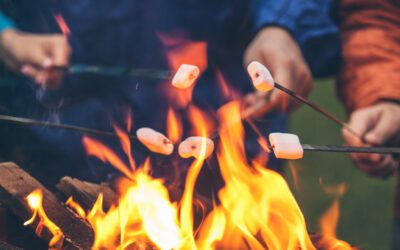 A New Michigan Camping Forum & Michigan Hiking Forum